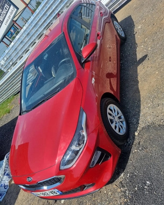 Kia Ceed cena 49900 przebieg: 11000, rok produkcji 2021 z Mikołów małe 781